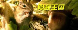 BBC:非洲/全集BBC: Africa BBC:非洲/全集BBC: Africa