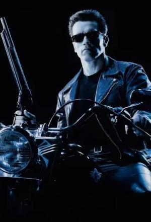 终结者2/Terminator 2(票房) 终结者2/Terminator 2(票房)